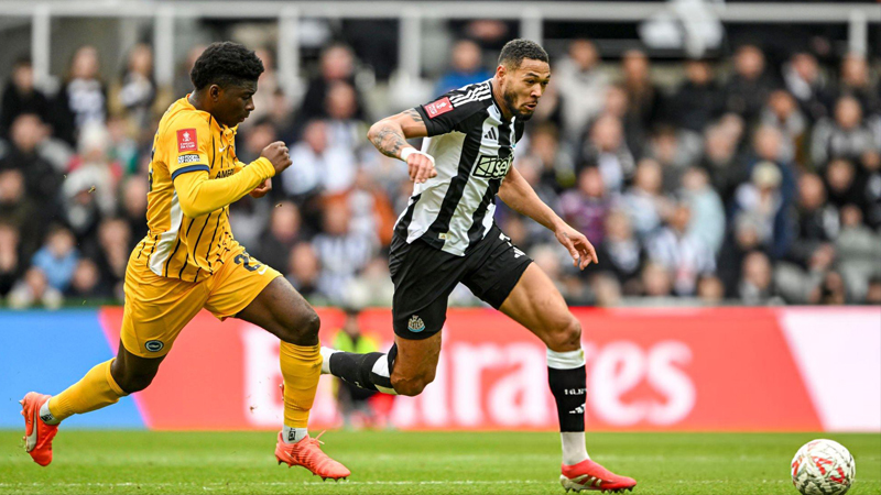 Sức mạnh và phong độ Brighton vs Newcastle Sức mạnh và phong độ Brighton vs Newcastle