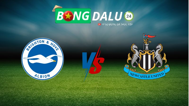 Soi kèo Brighton vs Newcastle 20h00 ngày 04/05/2025 – Ngoại Hạng Anh